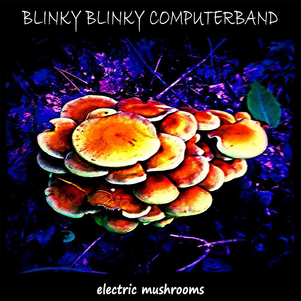 Blinky Blinky Computerband - 1378 (Disko Broiler Mix)