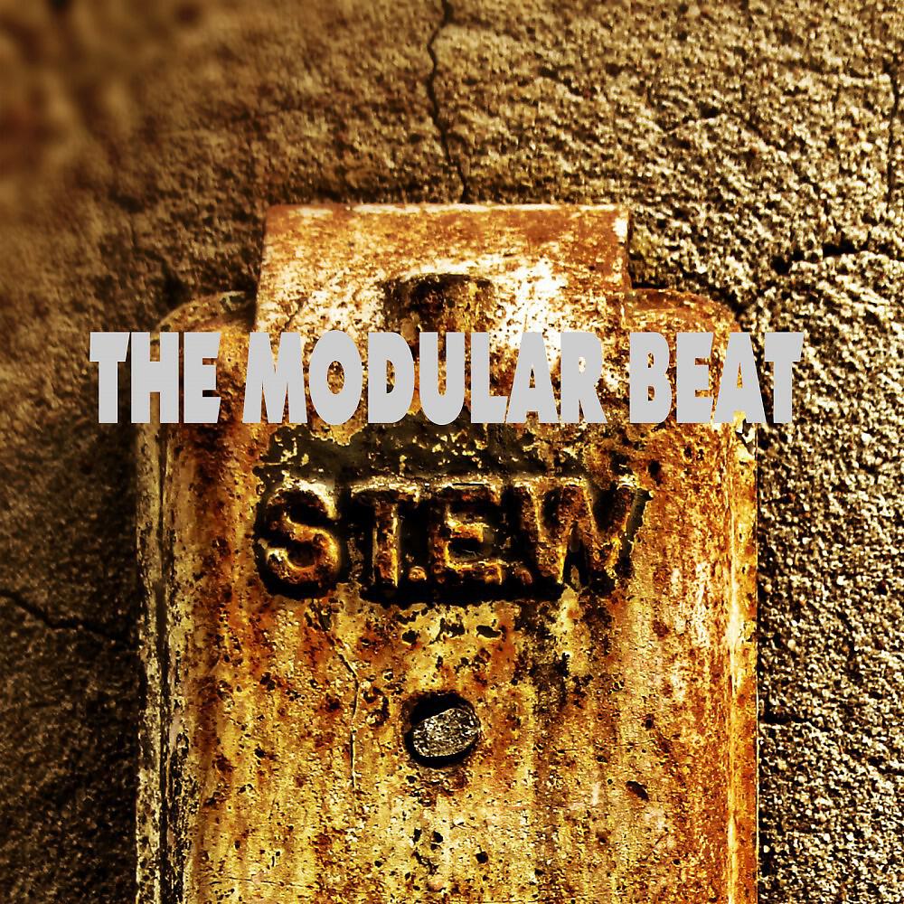 The Modular Beat - Skin Deep