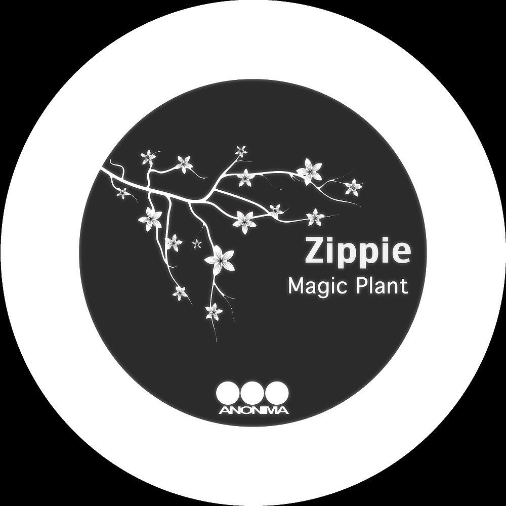 ZippiE - Shade Balls