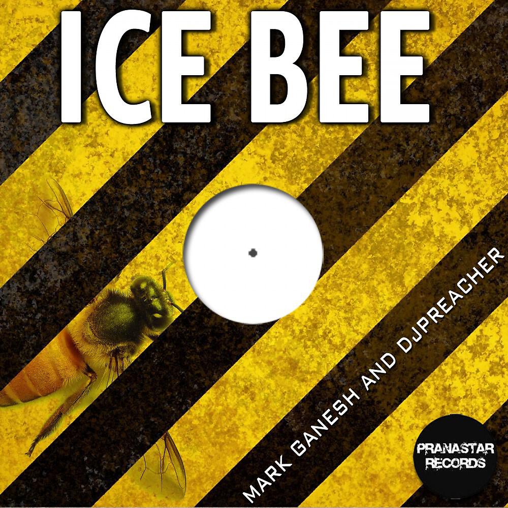 Mark Ganesh & Djpreacher - Ice Bee (Michael Otten Remix)