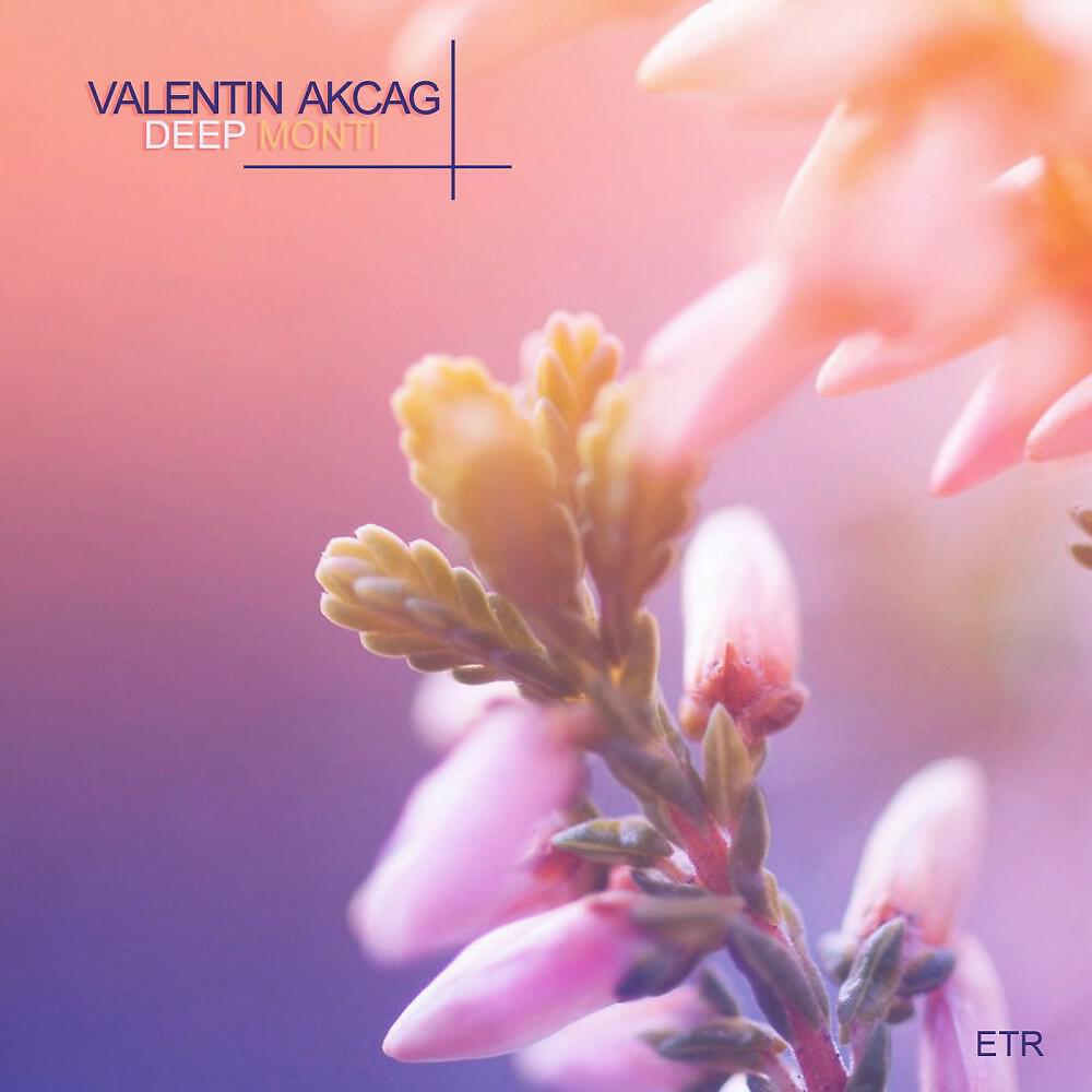 Valentin Akcag - Deep Monti (Croatia Squad Remix)