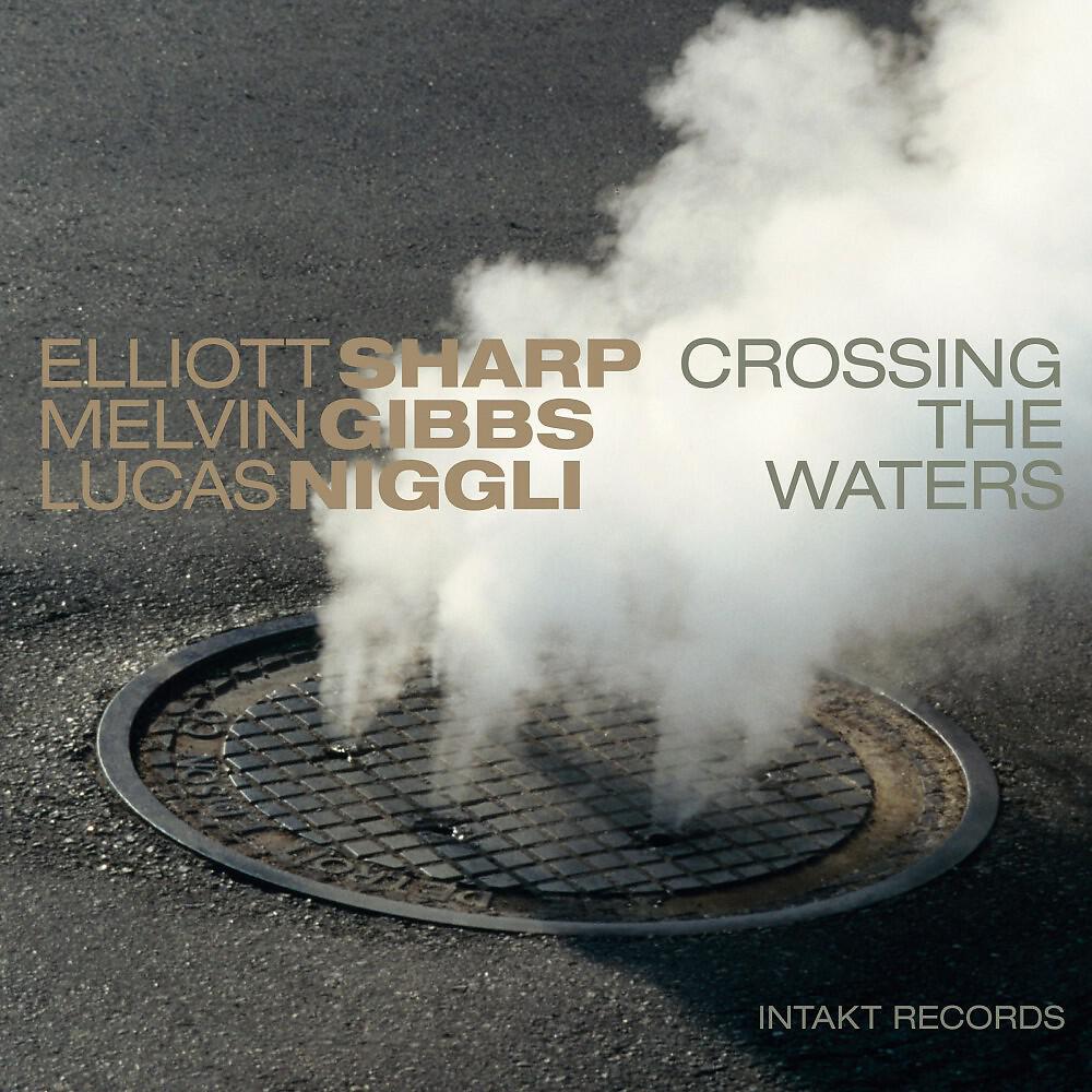 Elliott Sharp - Flow Fever
