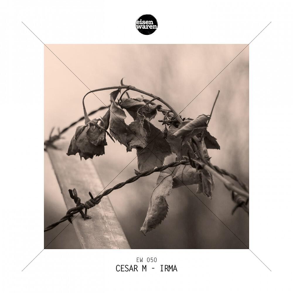 Cesar M & Nfunk feat. Mariela Flores - Tears