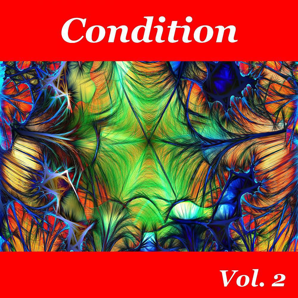 Постер альбома Condition, Vol. 2