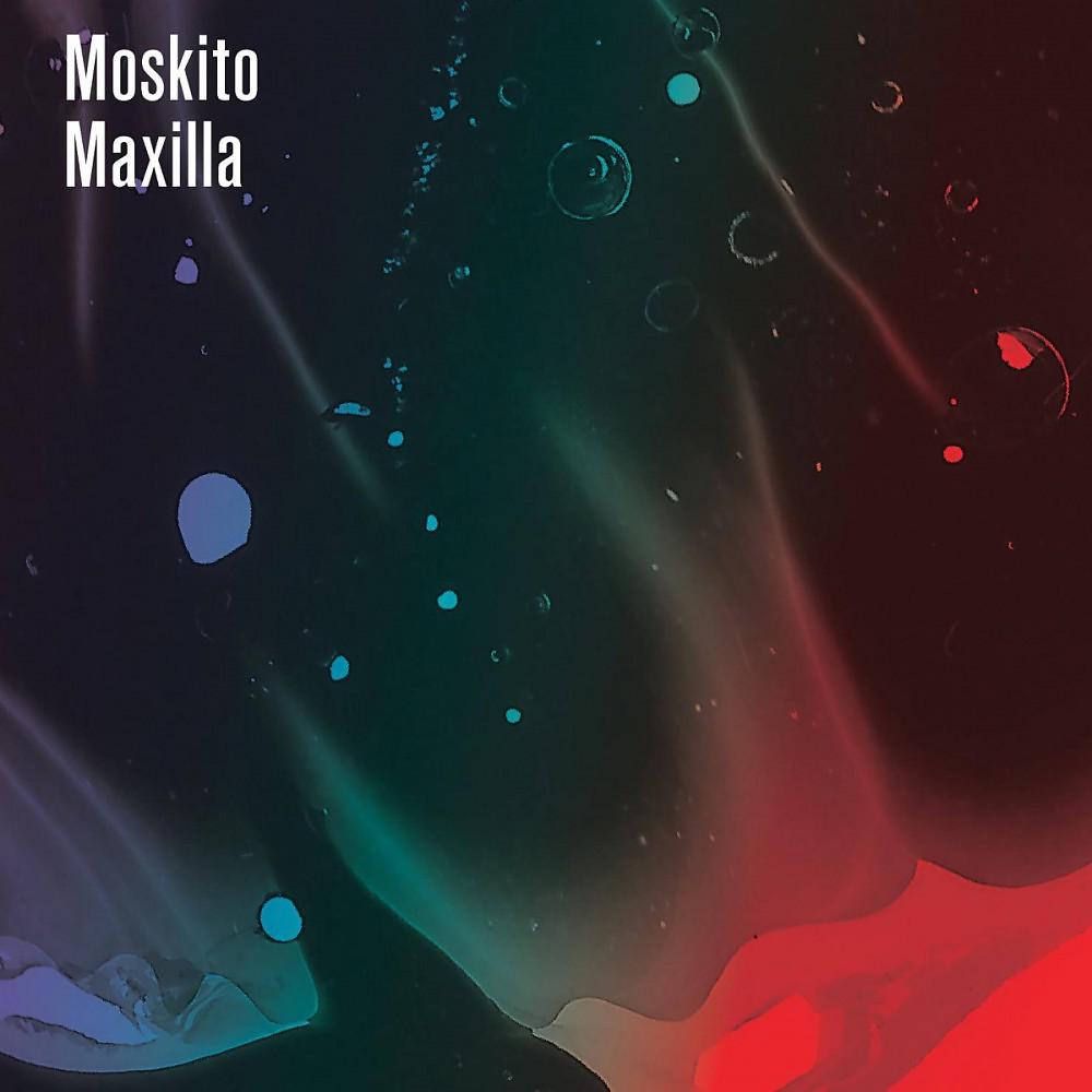 Постер альбома Maxilla