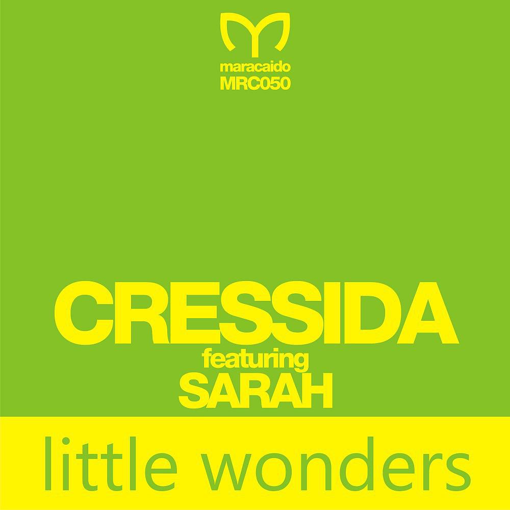 Постер альбома Little Wonders