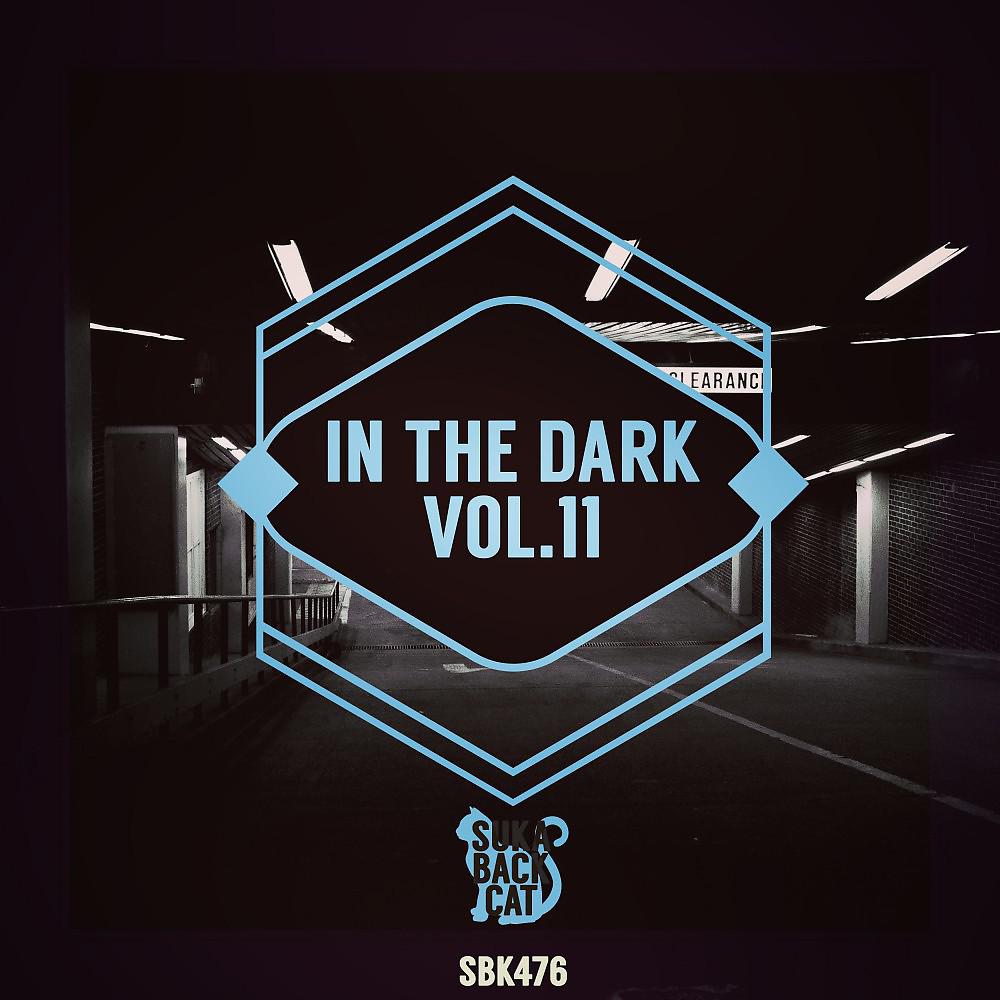 Постер альбома In the Dark, Vol. 11