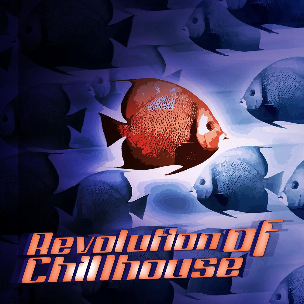 Постер альбома Revolution of Chillhouse
