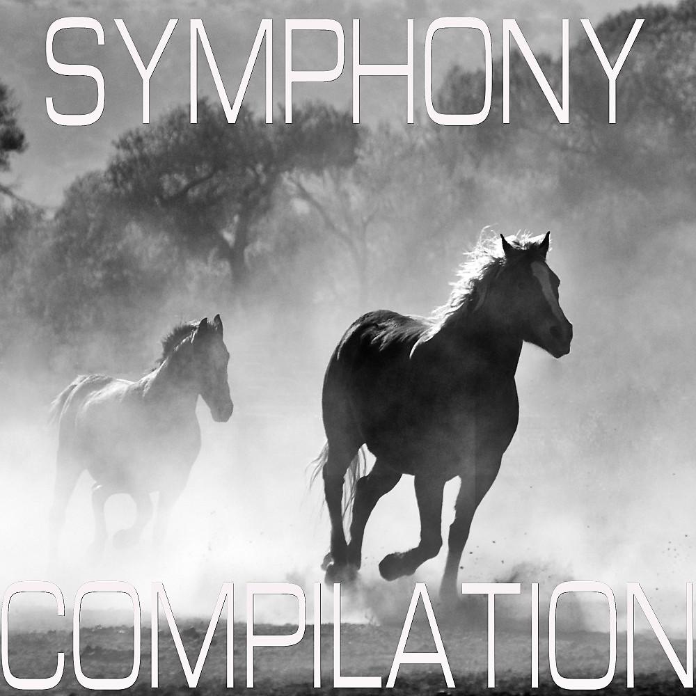 Постер альбома Symphony Hits