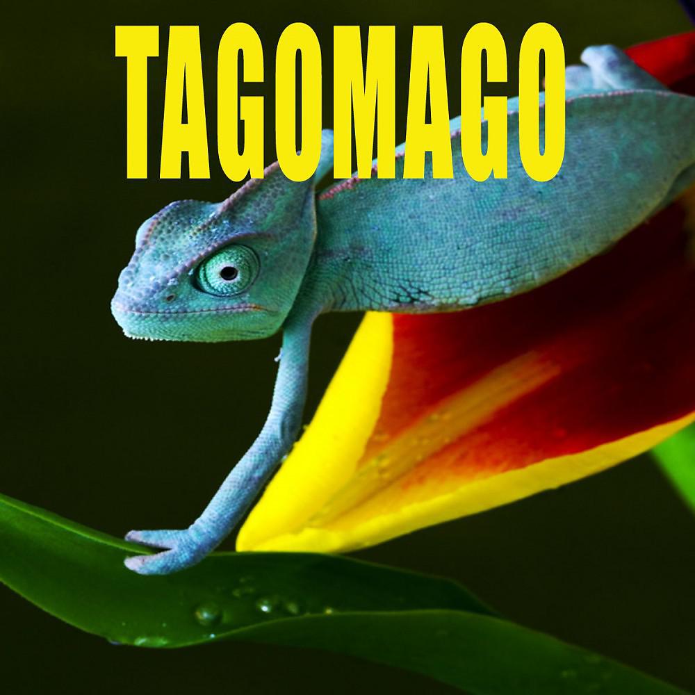 Постер альбома Tagomago