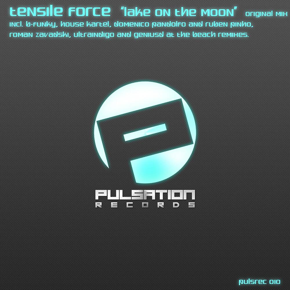 Tensile Force - Lake On the Moon (Domenico Pandolfo & Ruben Pinho Remix)