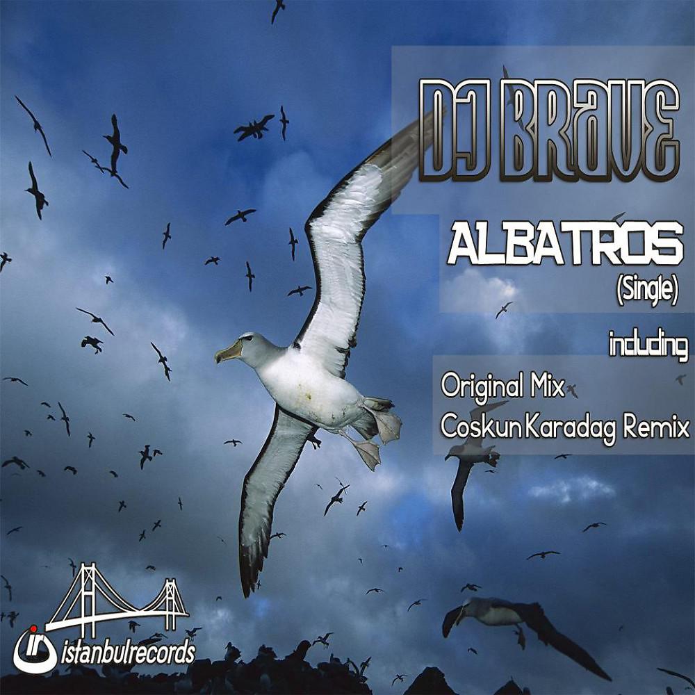 Постер альбома Albatros