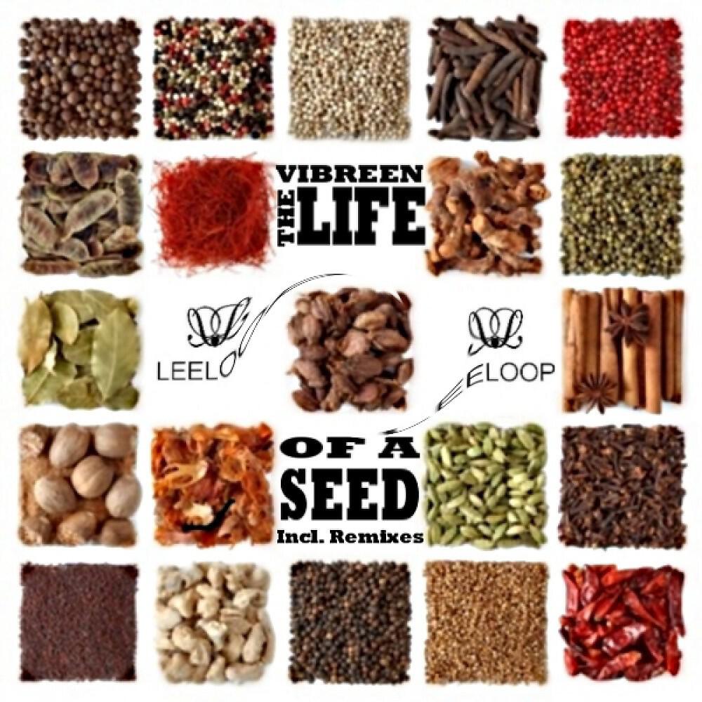 Vibreen - The Life of a Seed (Leandro Lee Instrumental Remix)