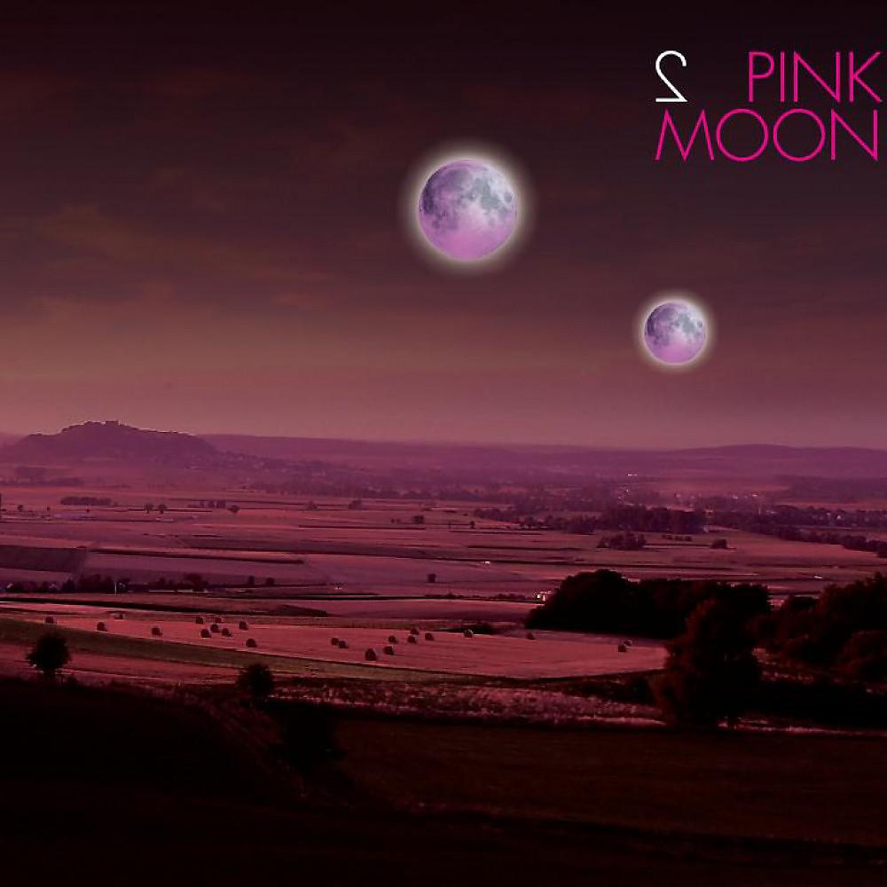 Постер альбома Pink Moon 2