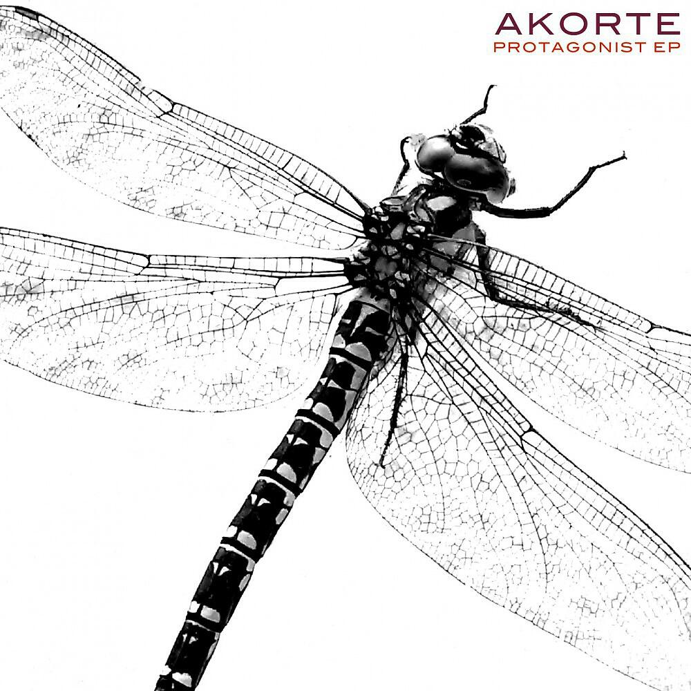 Akorte - Fake