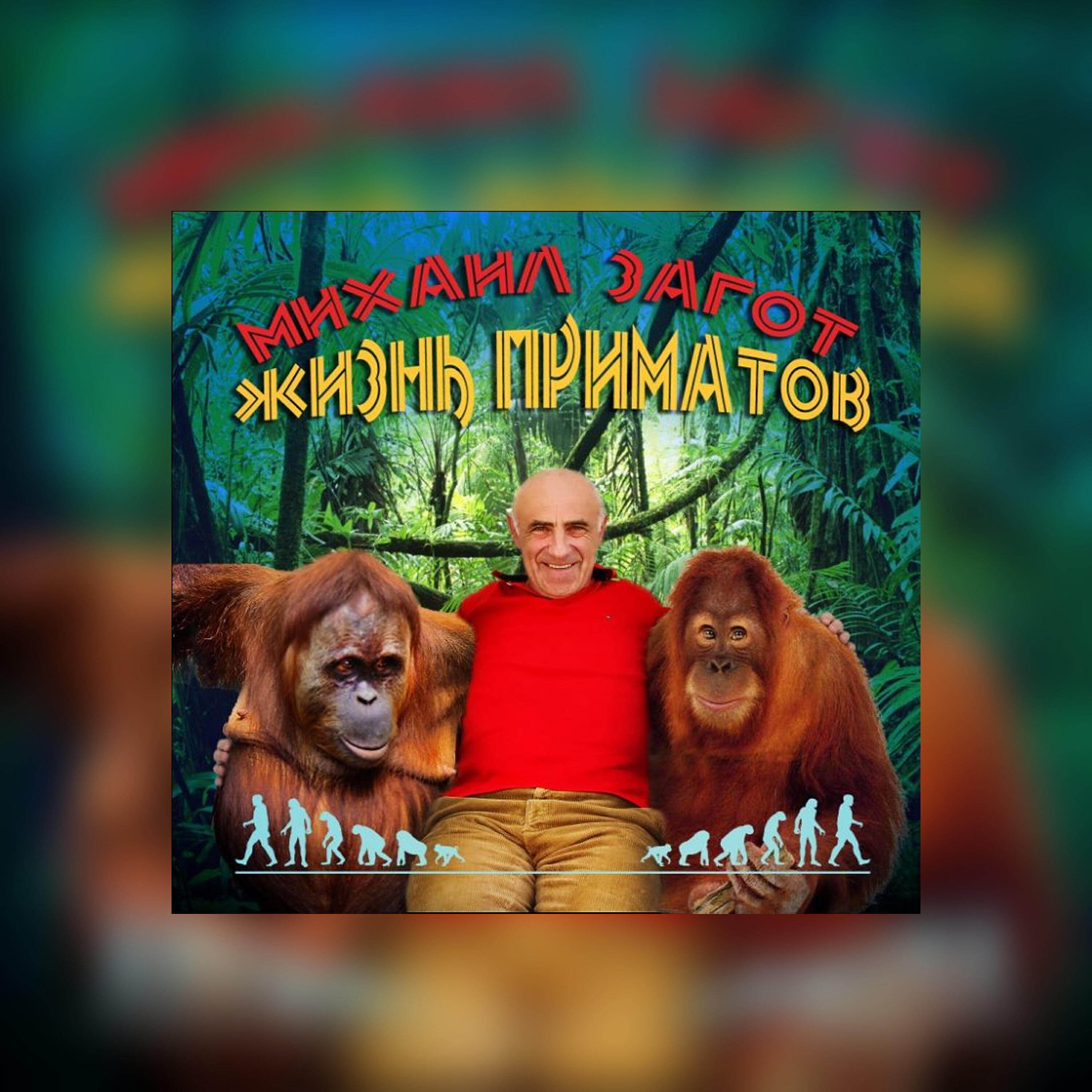 Михаил Загот - Французский шансон