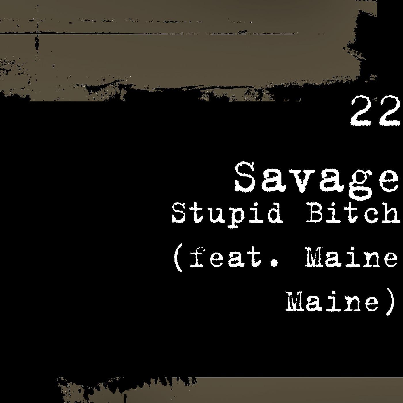 Постер альбома Stupid Bitch (feat. Maine Maine)