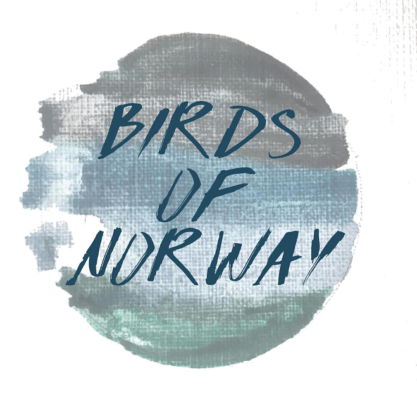 Birds of Norway - Every Silence