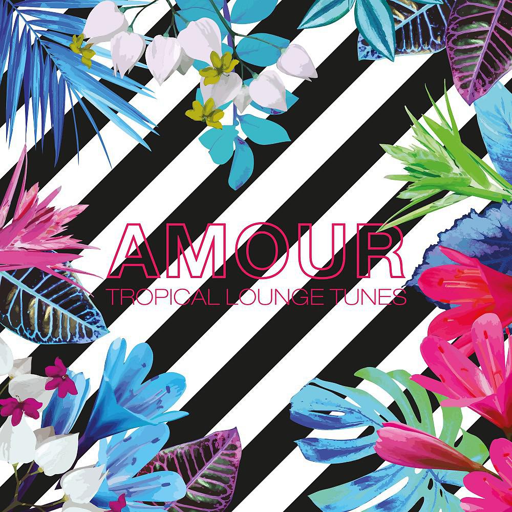 Постер альбома Amour - Tropical Lounge Tunes