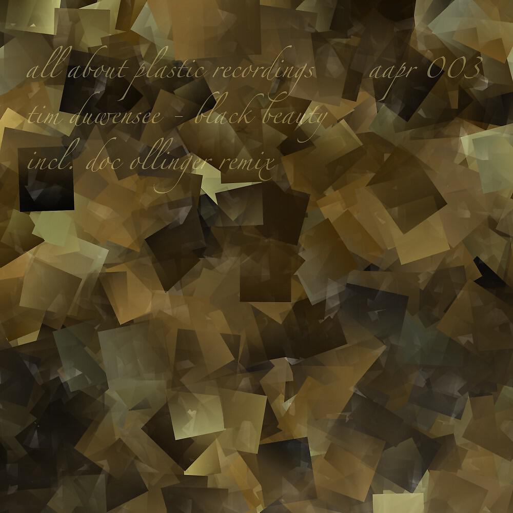 Tim Duwensee - Black Beauty (Doc Ollinger Remix)