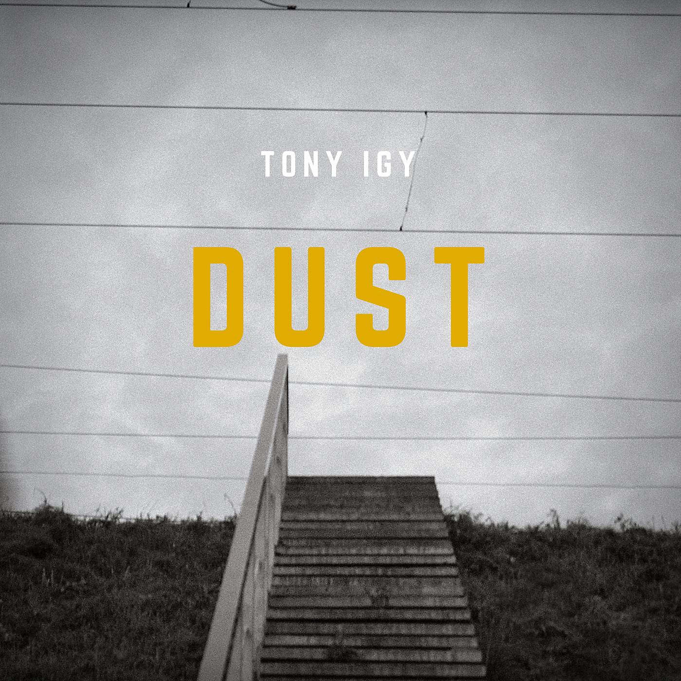 Постер альбома The Dust