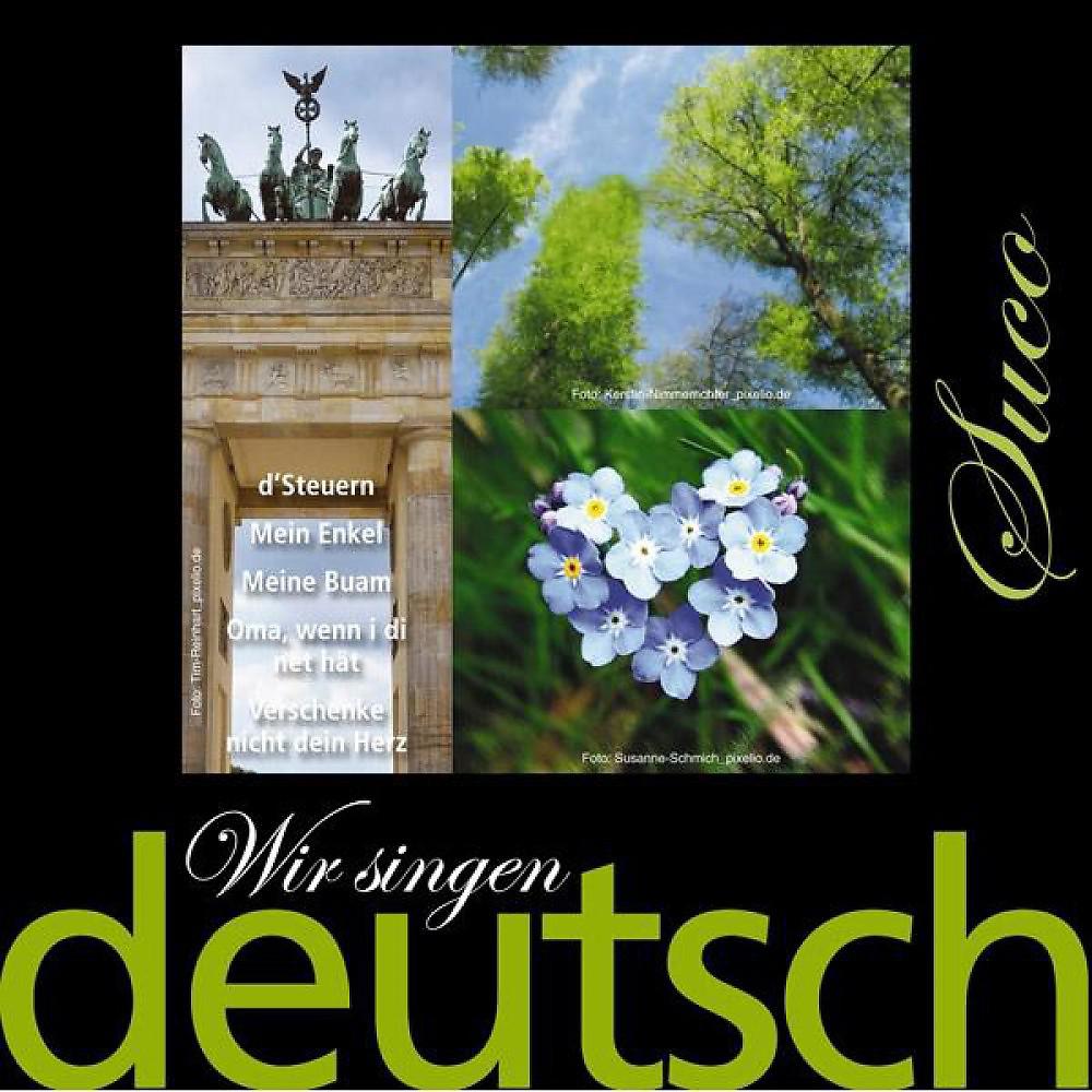 Постер альбома Wir singen deutsch - Verschenke nicht dein Herz