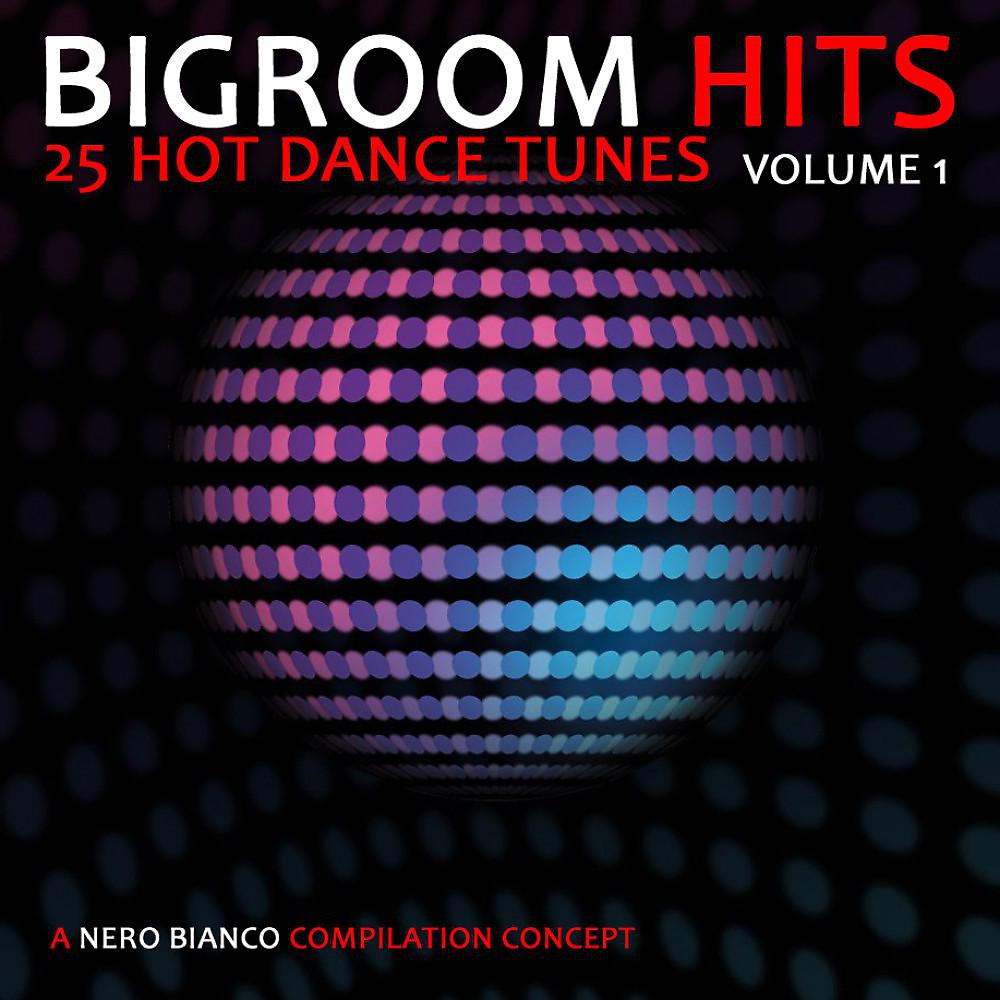 Постер альбома Bigroom Hits, Vol. 1
