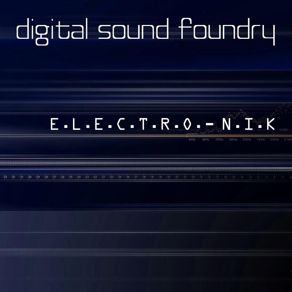 Digital Sound Foundry - E.L.E.C.T.R.O. - N.I.K. (DJ Lazar's Phosphor Club Mix)