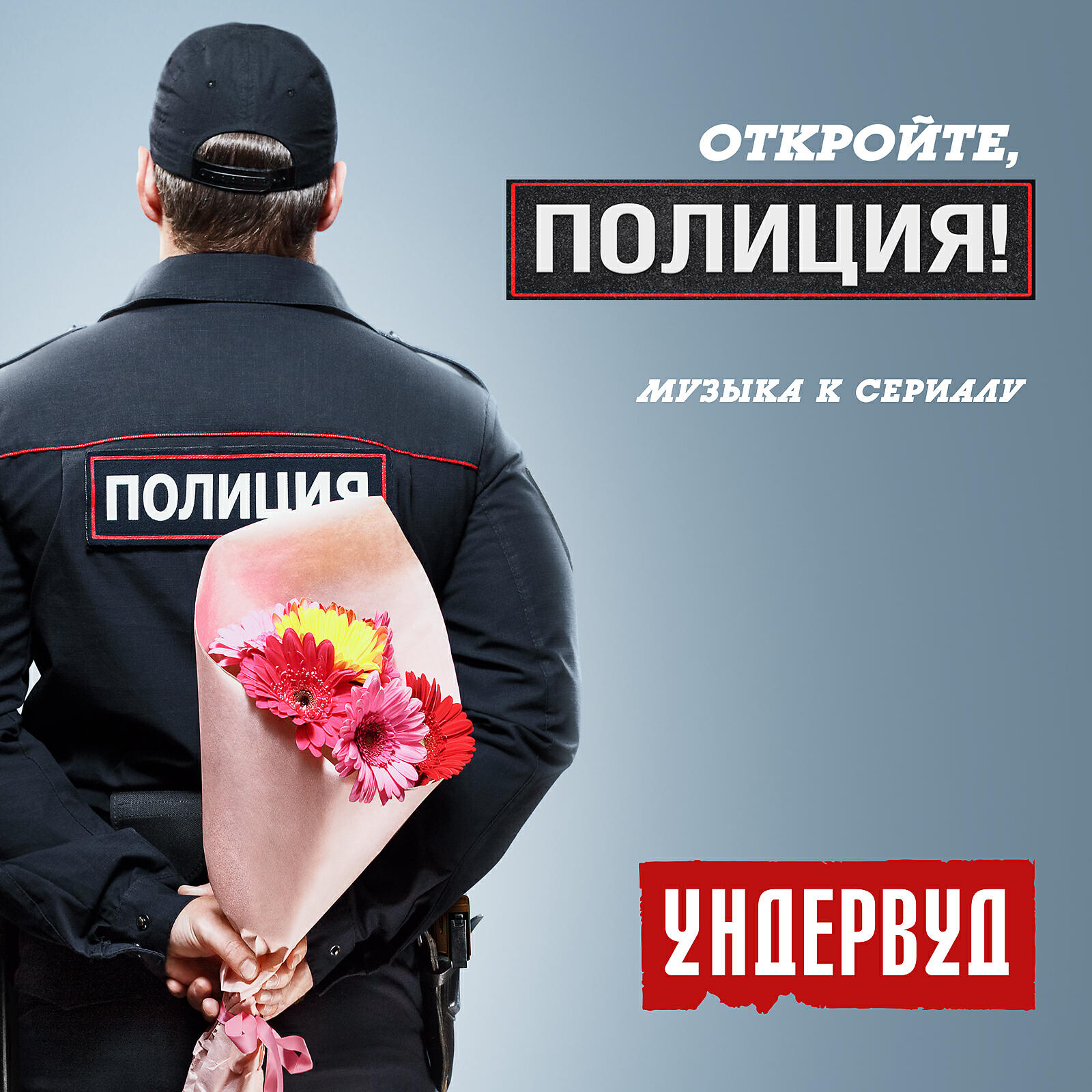 Открытый полиция. Откройте полиция. Откройте полиция сериал. Откройте, полиция! Милиция. Открывайте полиция.