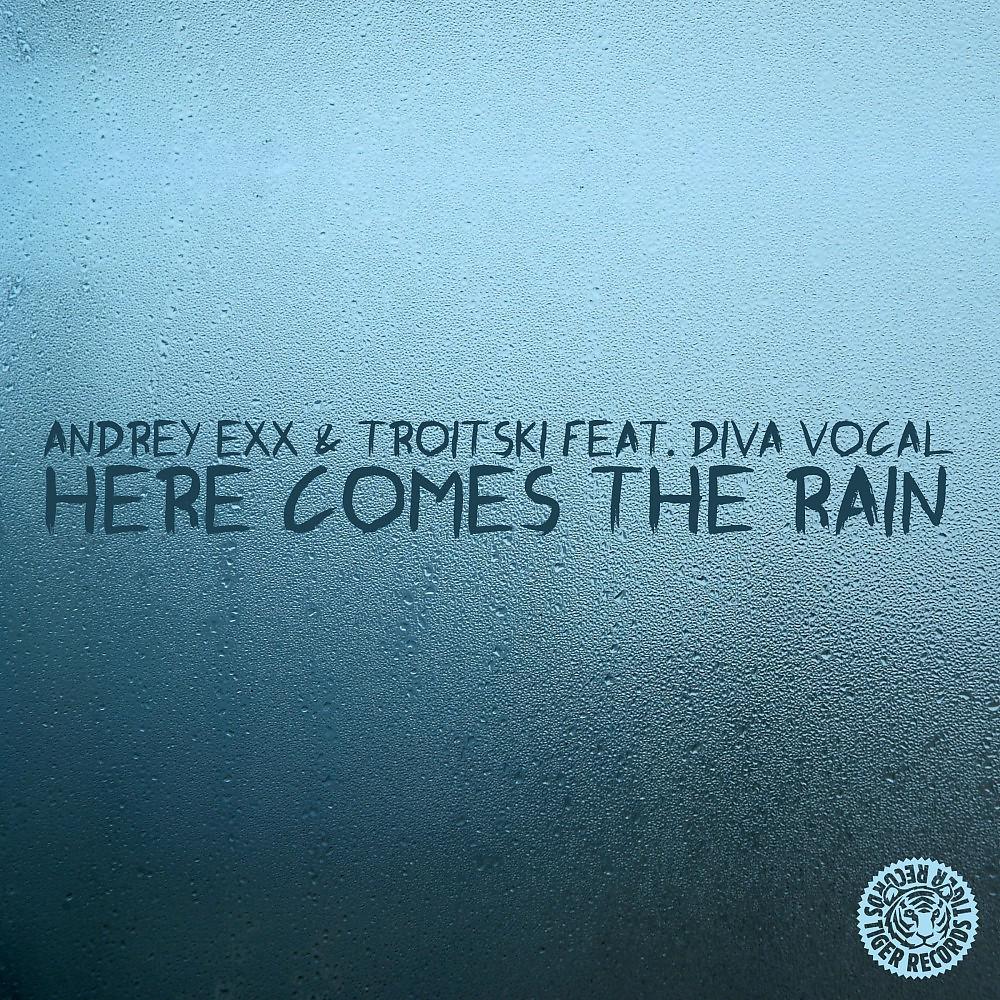 Постер альбома Here Comes the Rain