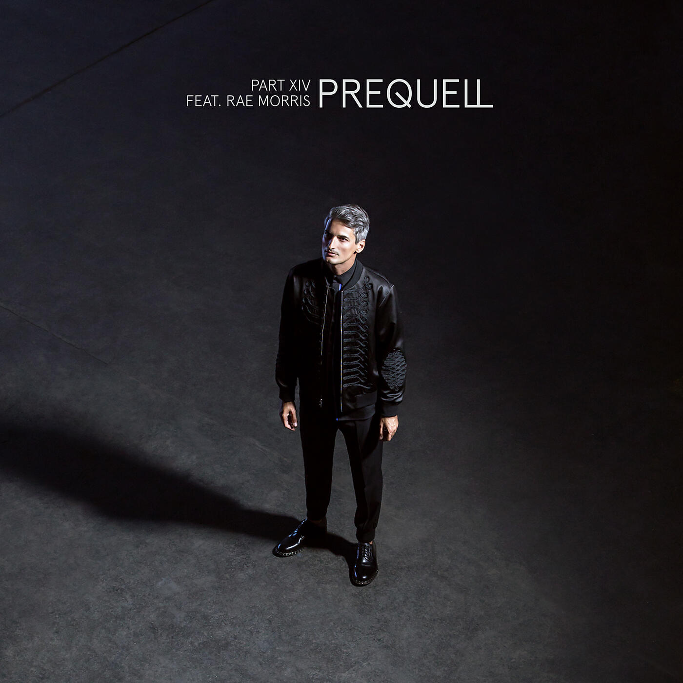 Prequell - Part XIV