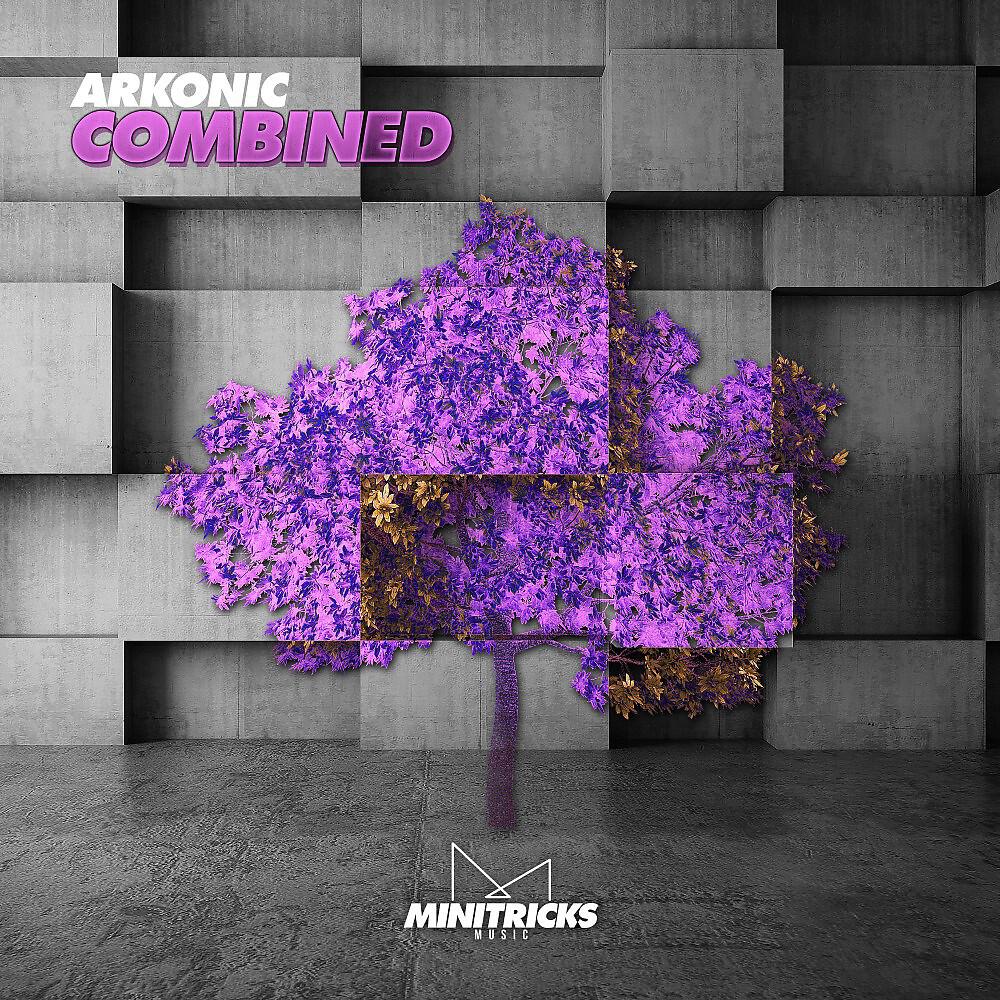 Arkonic - Combined (Original Mix)