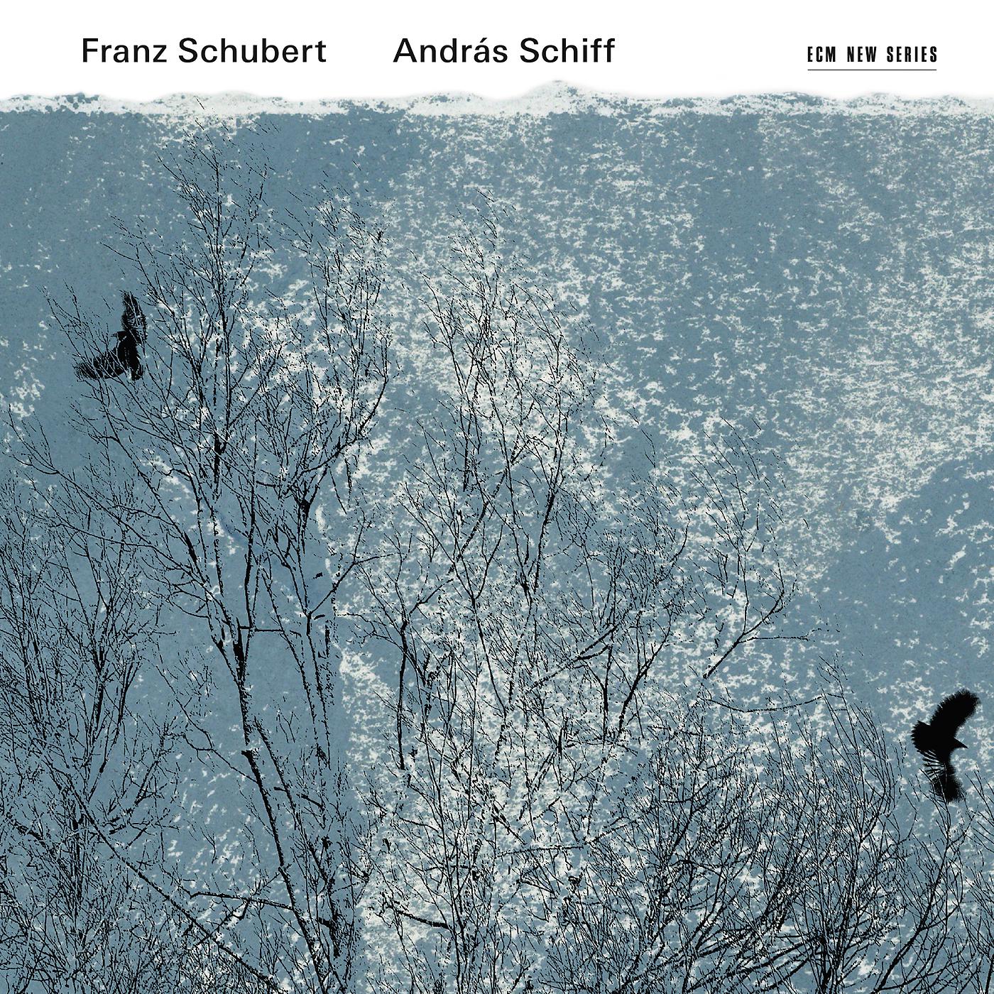 Постер альбома Franz Schubert