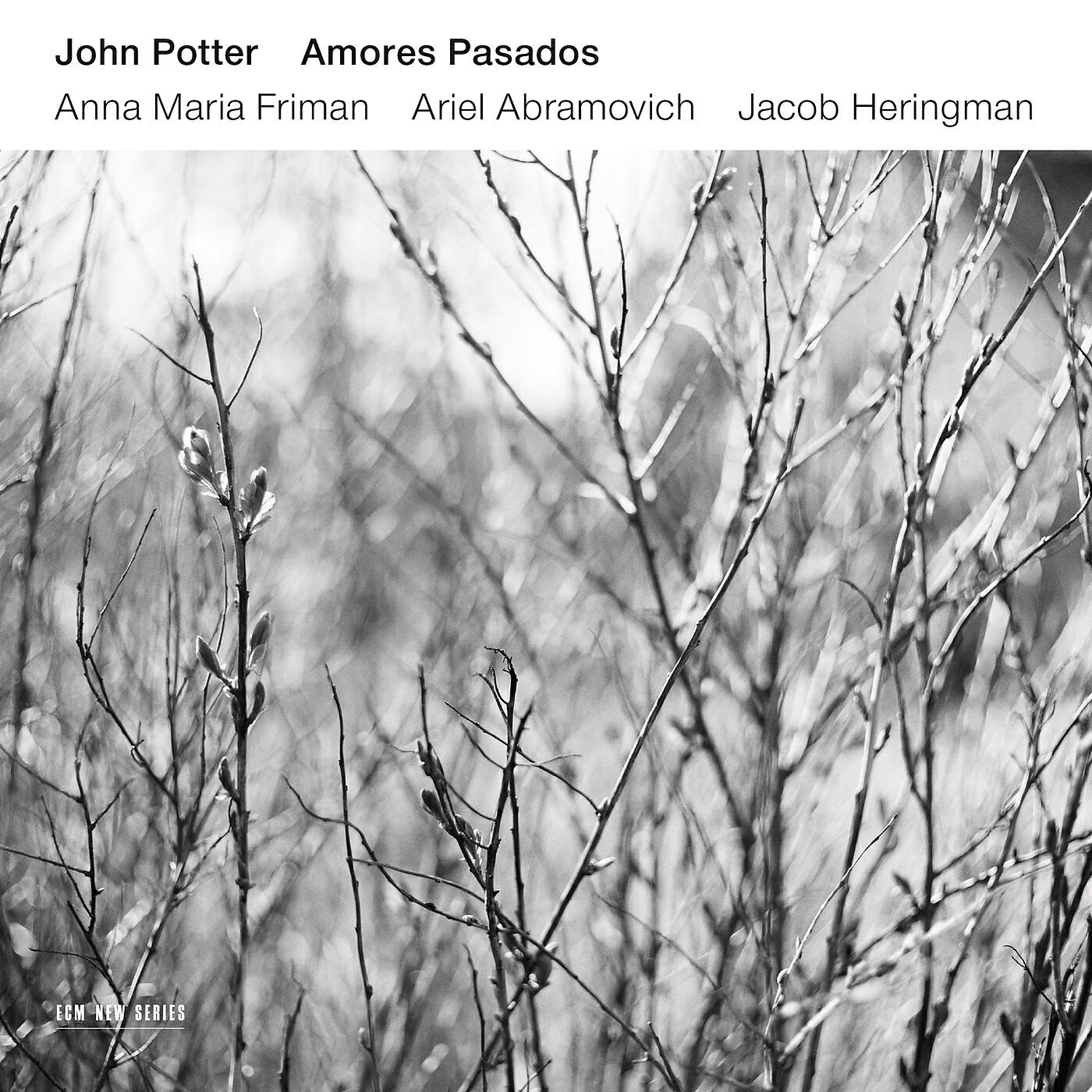 John Potter - Jones: Amores Pasados - Al Son De Los Arroyuelos