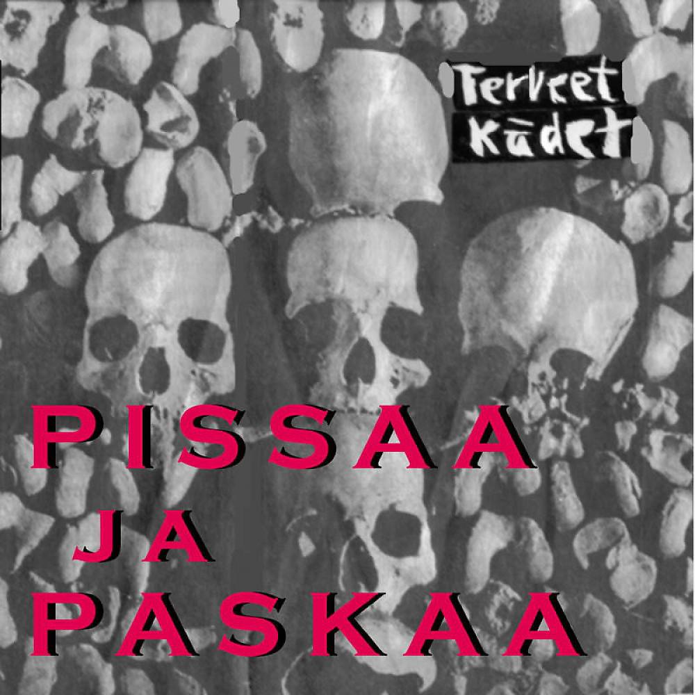 Постер альбома Pissaa Ja Paskaa