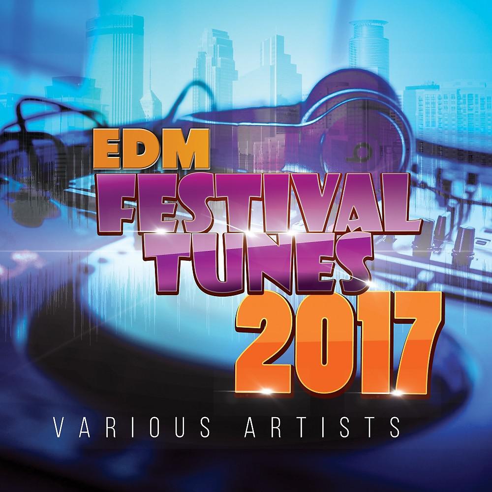 Постер альбома EDM Festival Tunes 2017