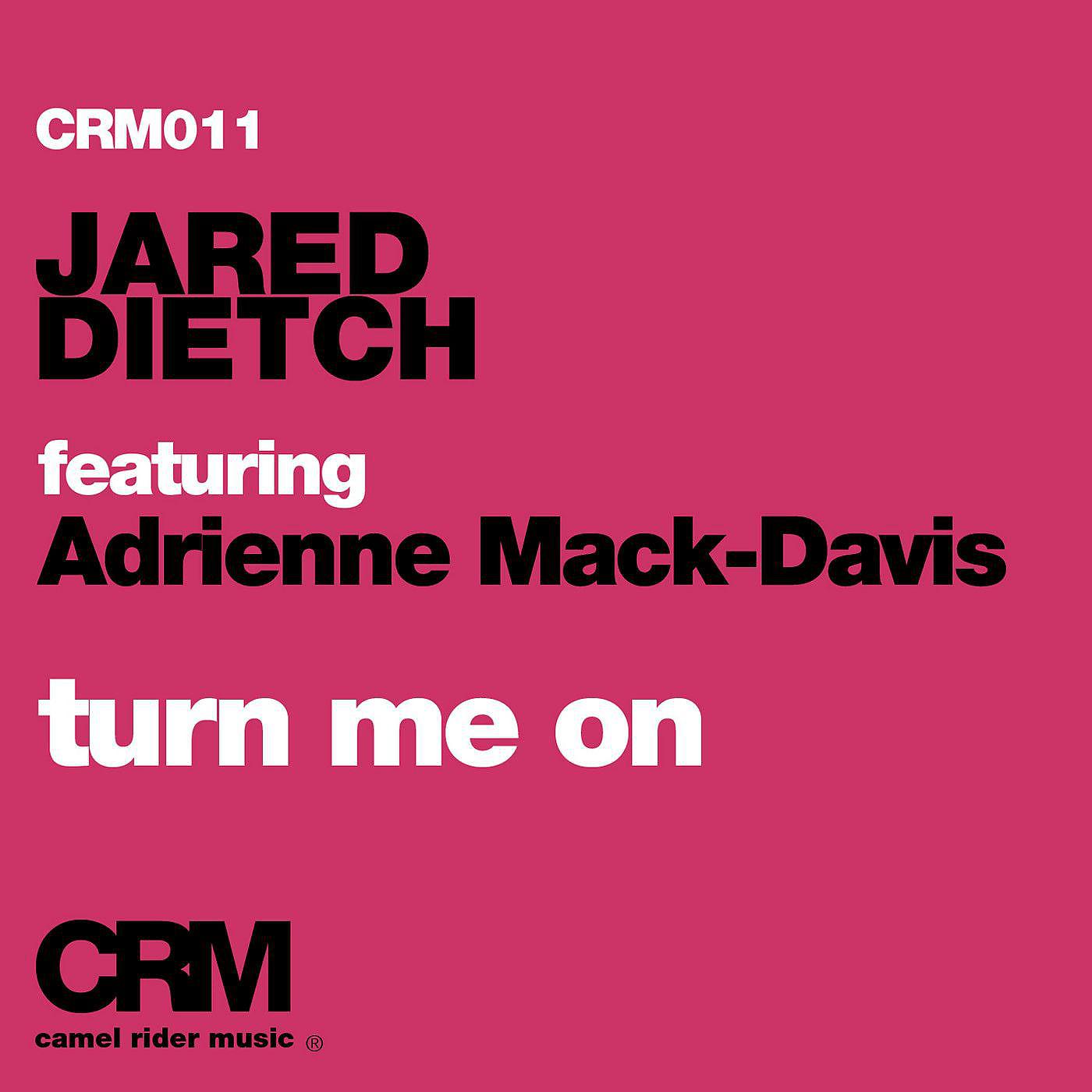 Постер альбома Turn Me On (feat. Adrienne Mack-Davis)