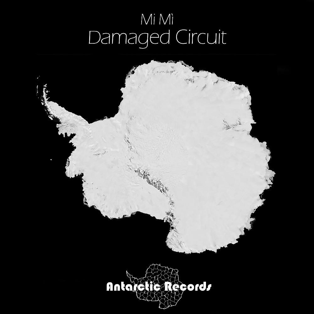 Постер альбома Damaged Circuit
