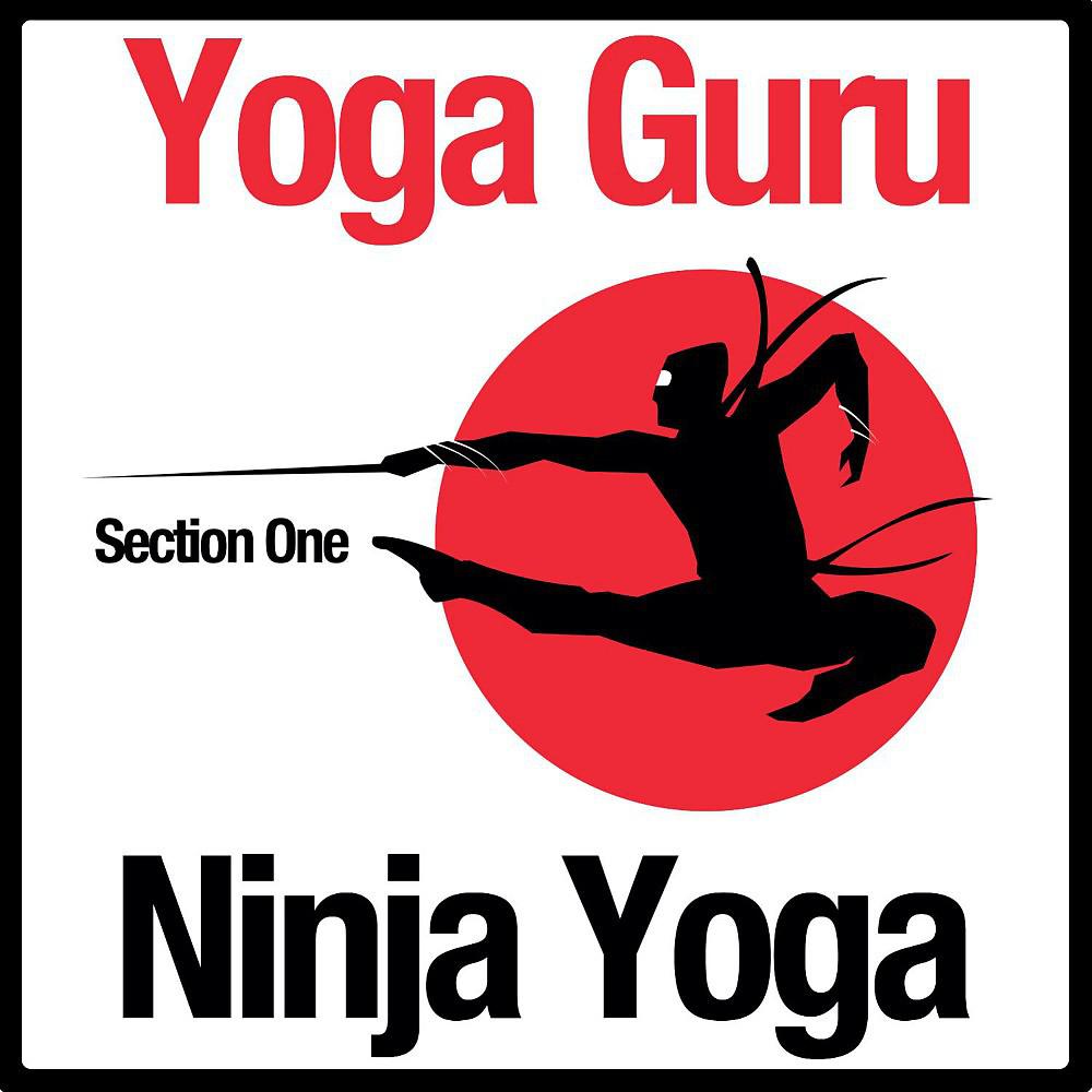 Постер альбома Ninja Yoga (Section Three)