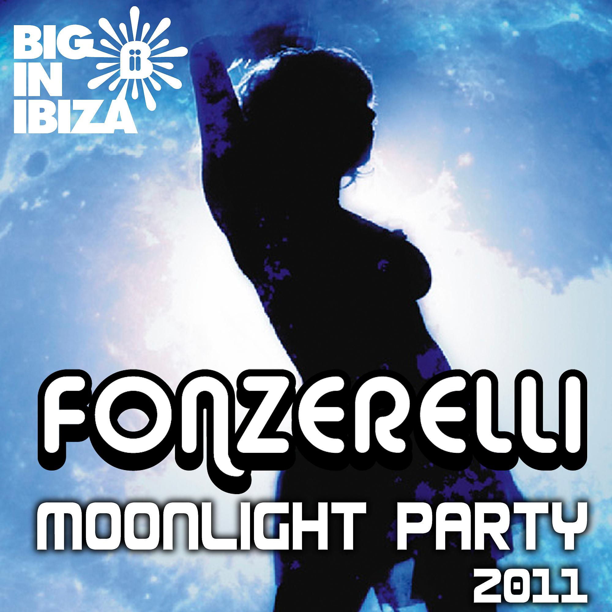 Постер альбома Moonlight Party 2011 (feat. Ellenyi)