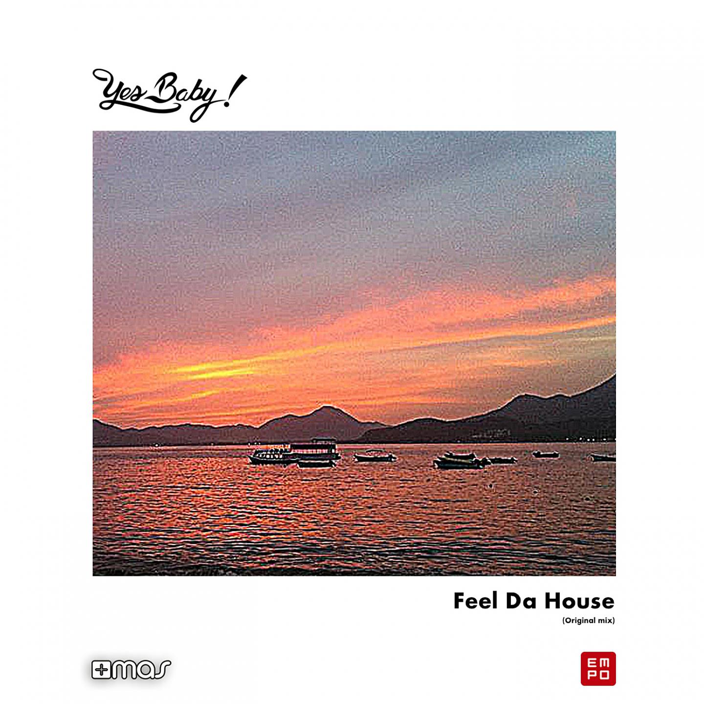 Постер альбома Feel da House
