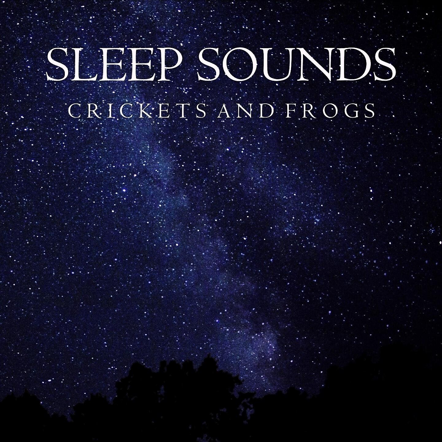 Ambient Sounds from I'm In Records - Rain, Crickets and Frogs (Part 11)