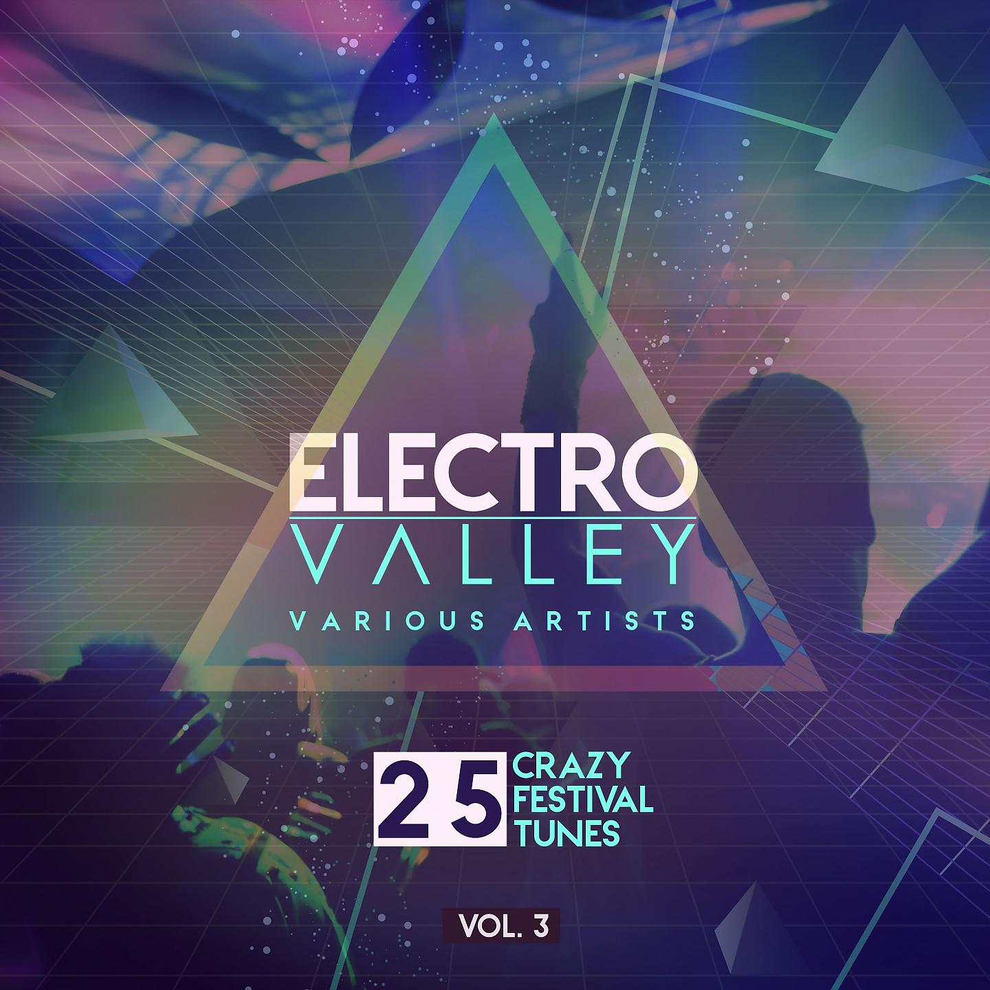 Постер альбома Electro Valley (25 Crazy Festival Tunes), Vol. 3