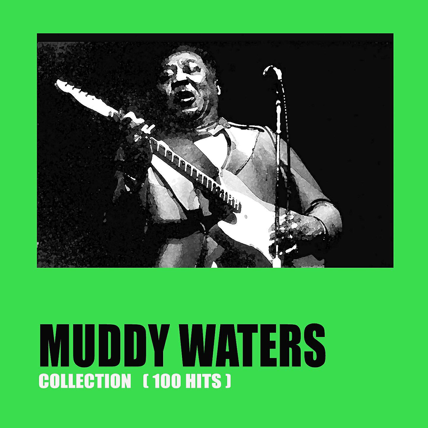 Muddy Waters - Muddy Jumps One