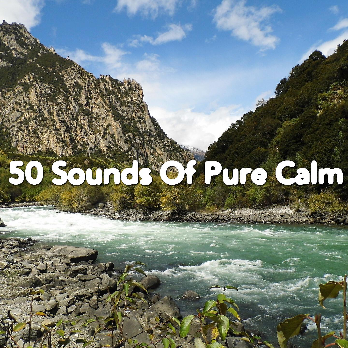 Soothing White Noise For Relaxation - Metal Dings While A Storm Rages On