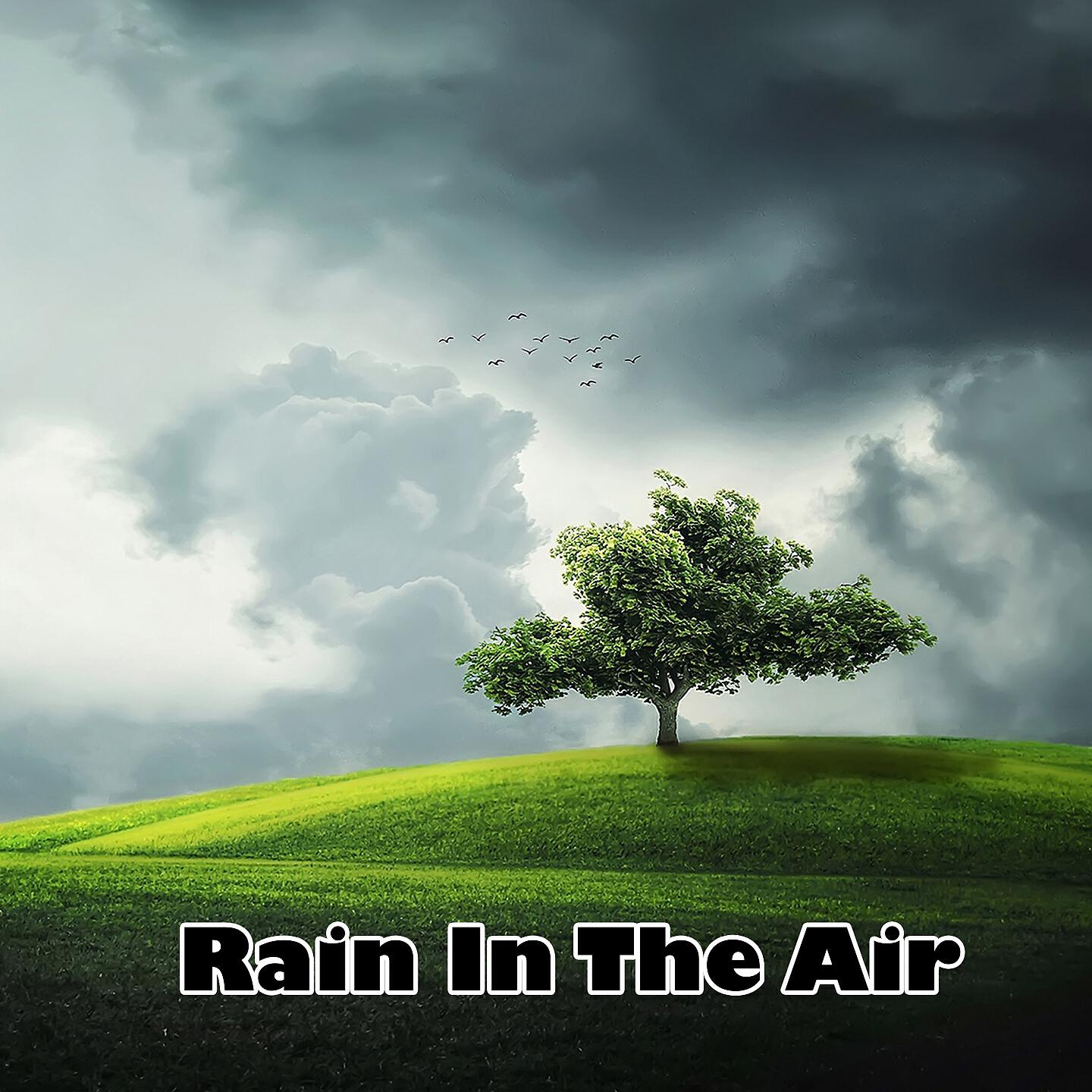 The Rain Library - Storm In The Atmosphere