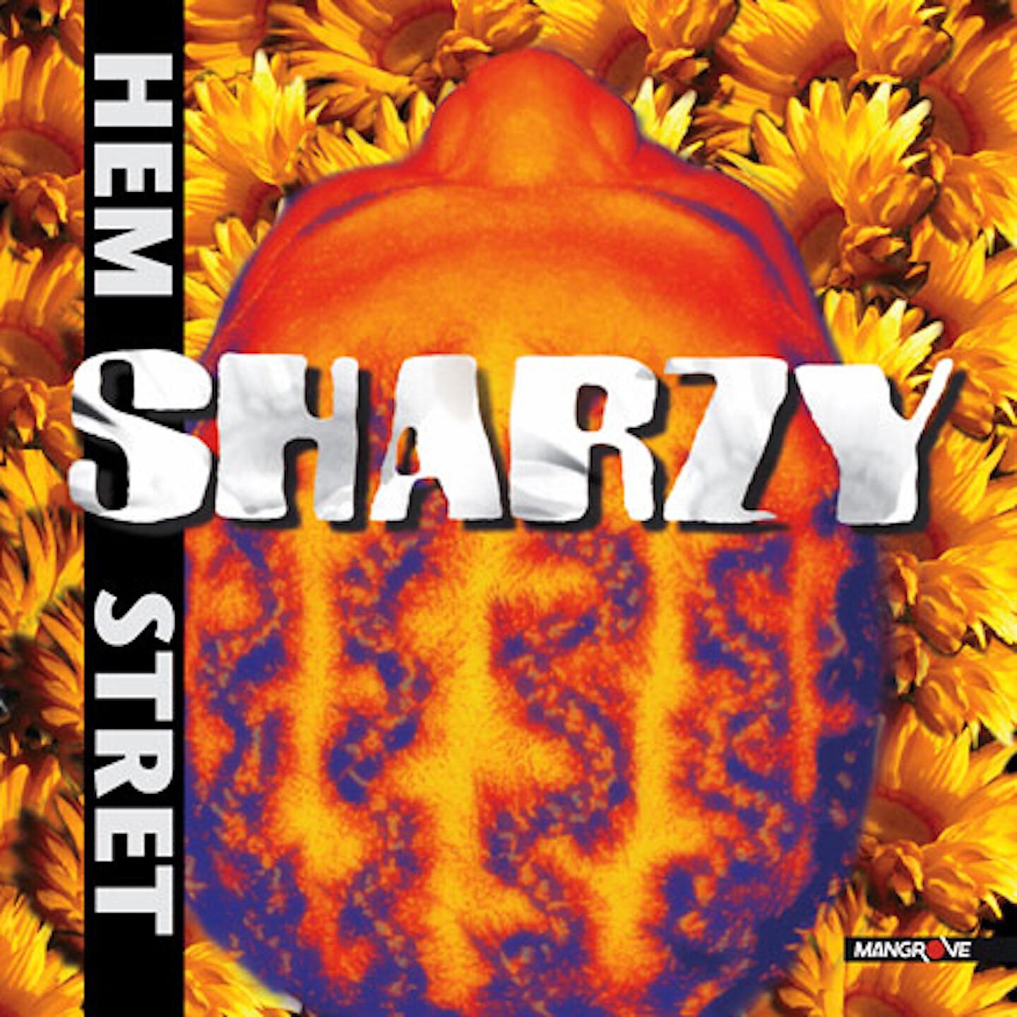 Sharzy - Bae lumi hao