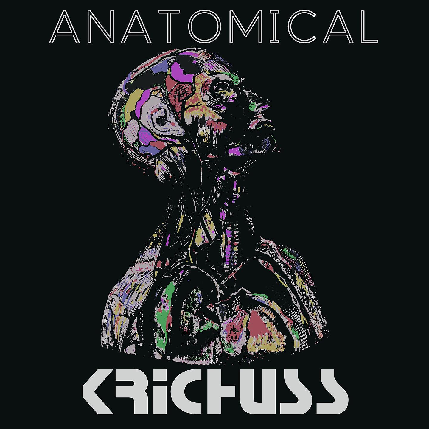 Постер альбома Anatomical