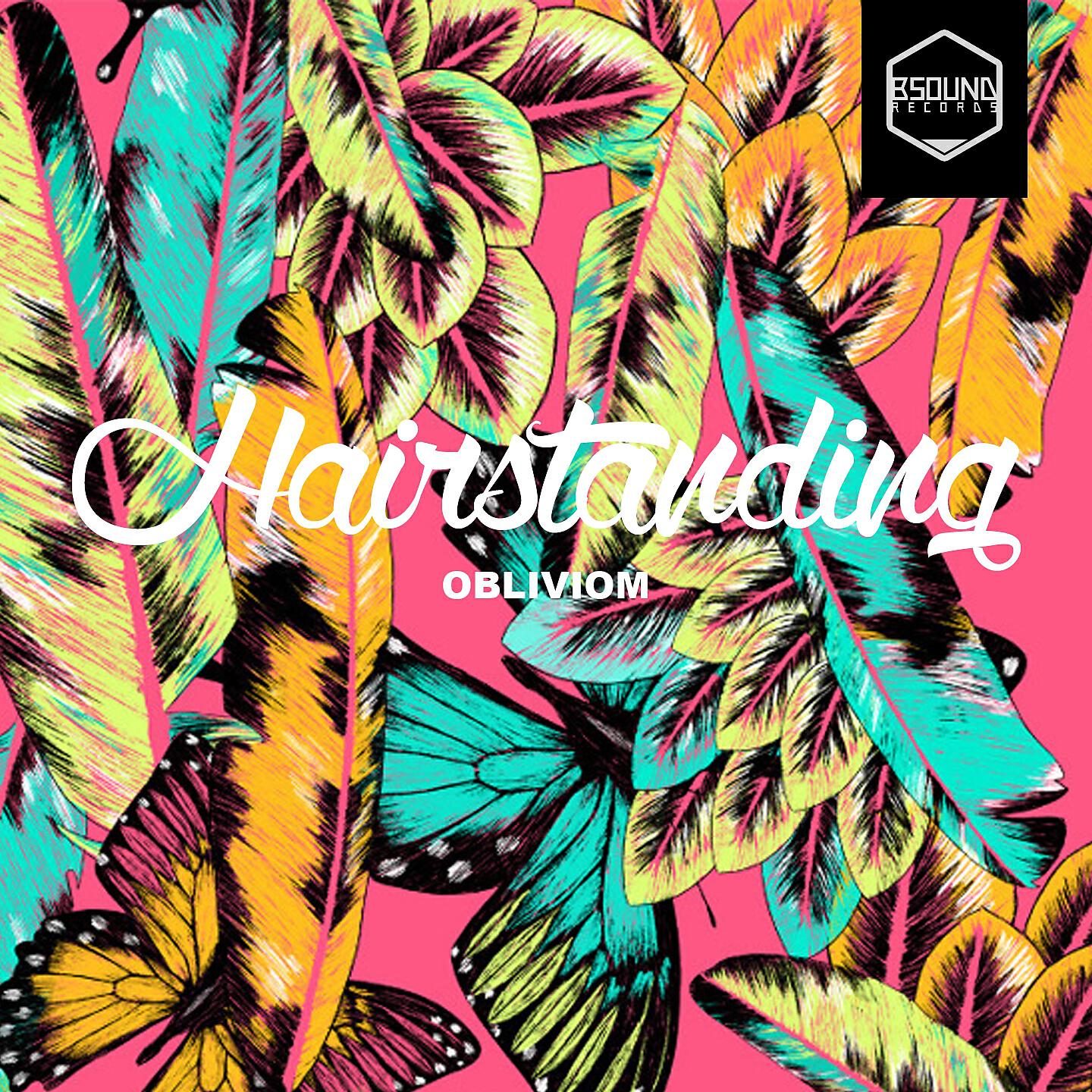 Hairstanding - Minnesota