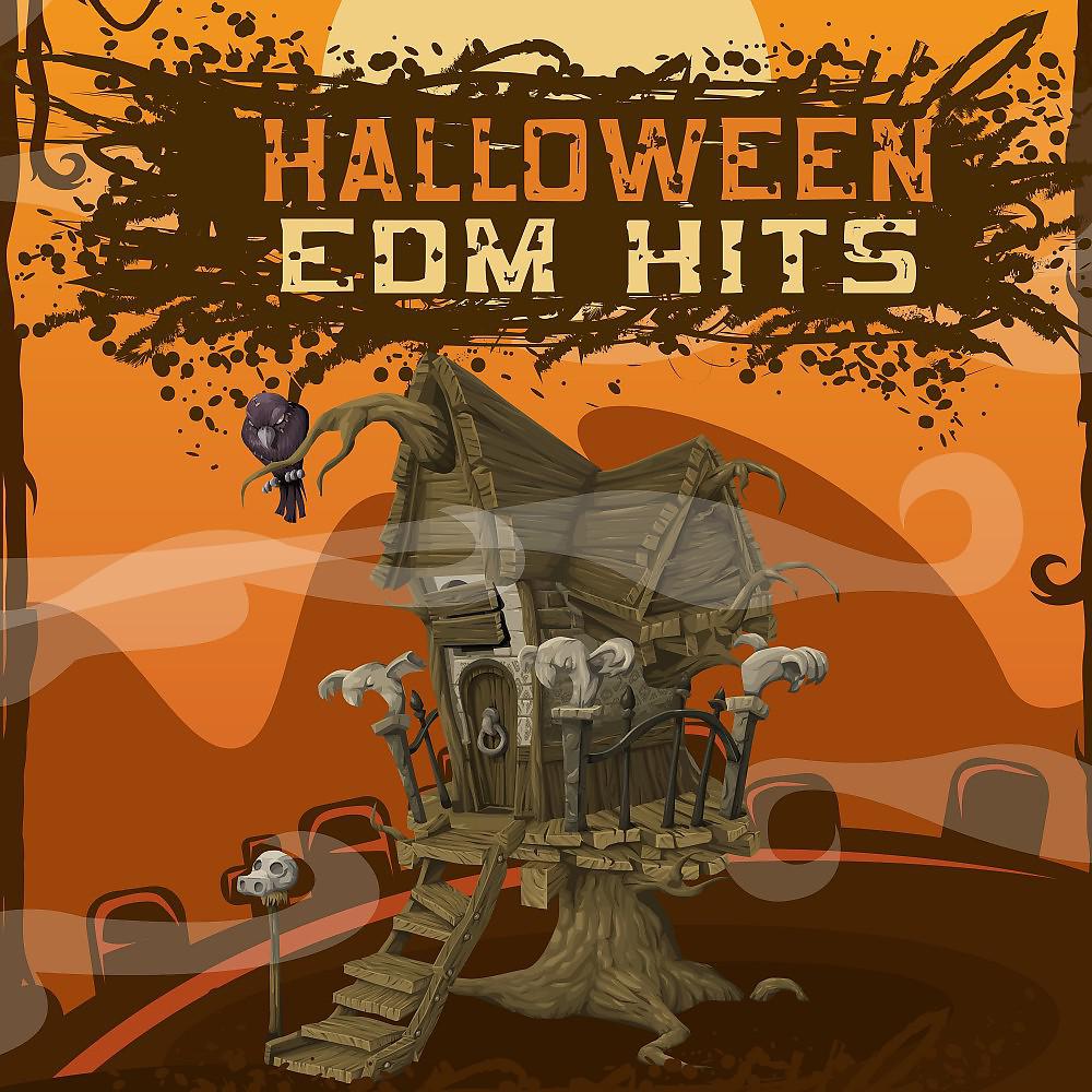 Постер альбома Halloween EDM Hits